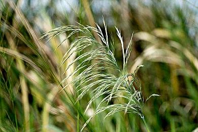 2024国游销量半年榜 《黑神话悟空》销售额3.9亿